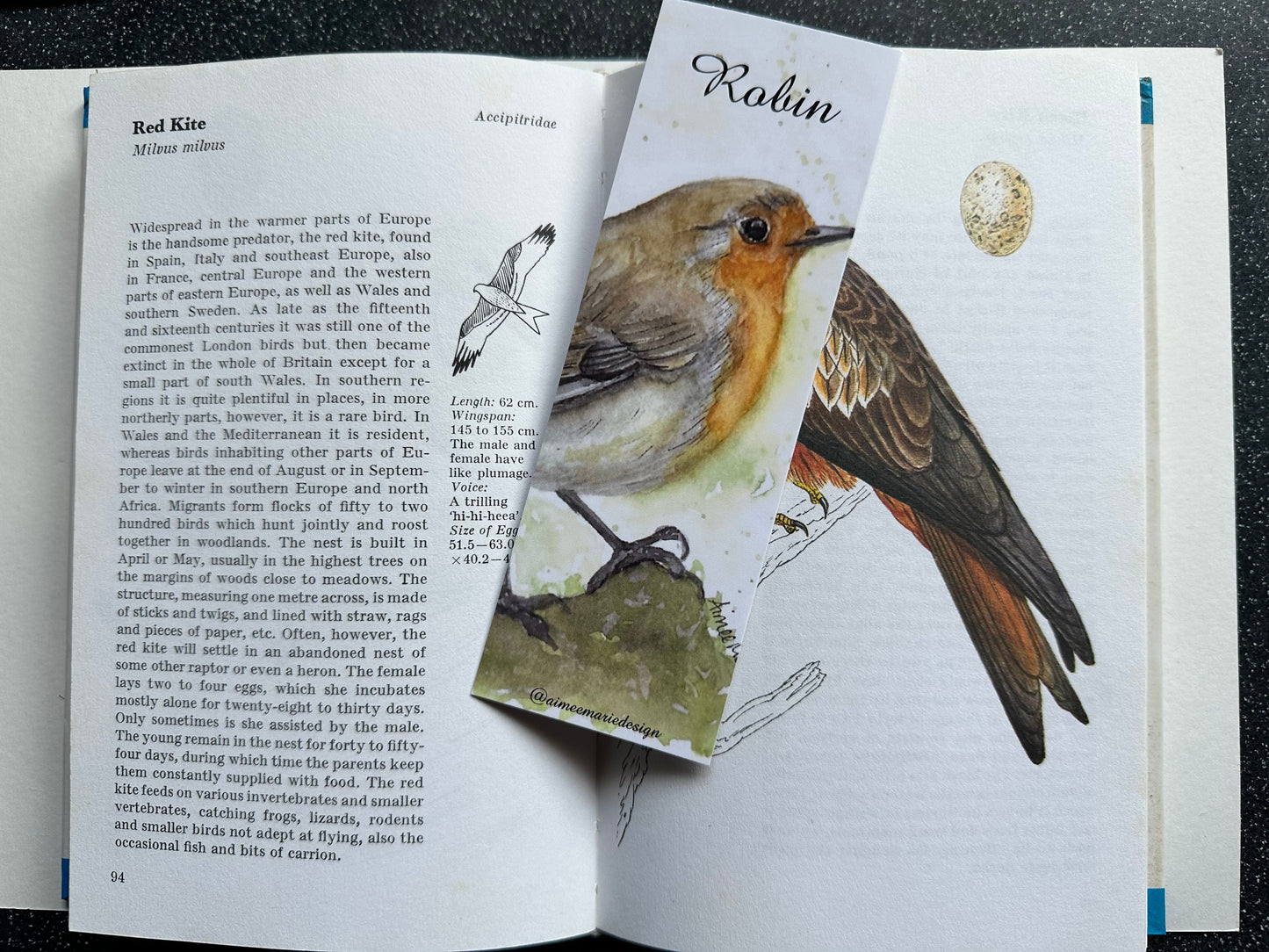 Robin bookmark.