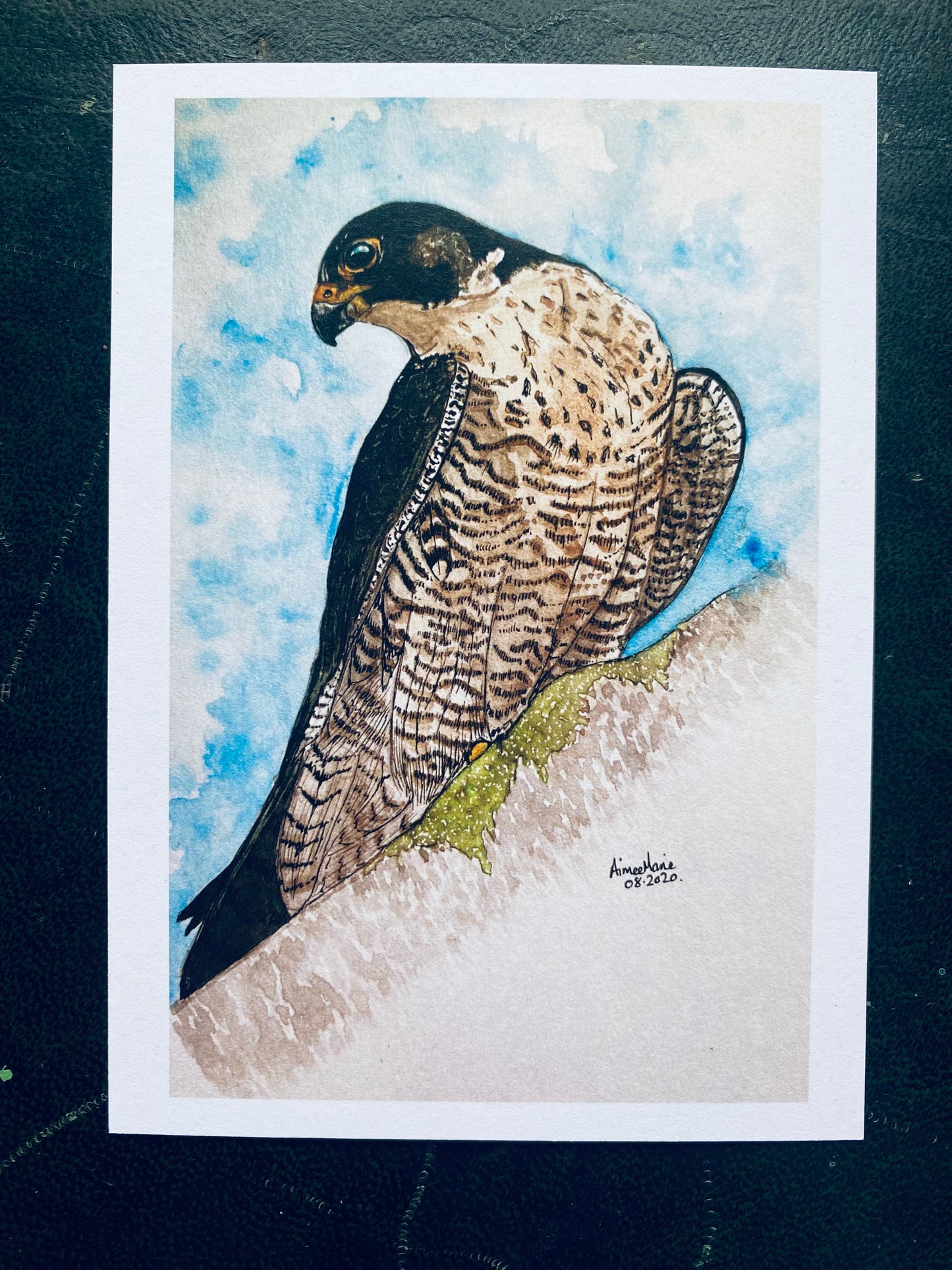 Peregrine falcon print.