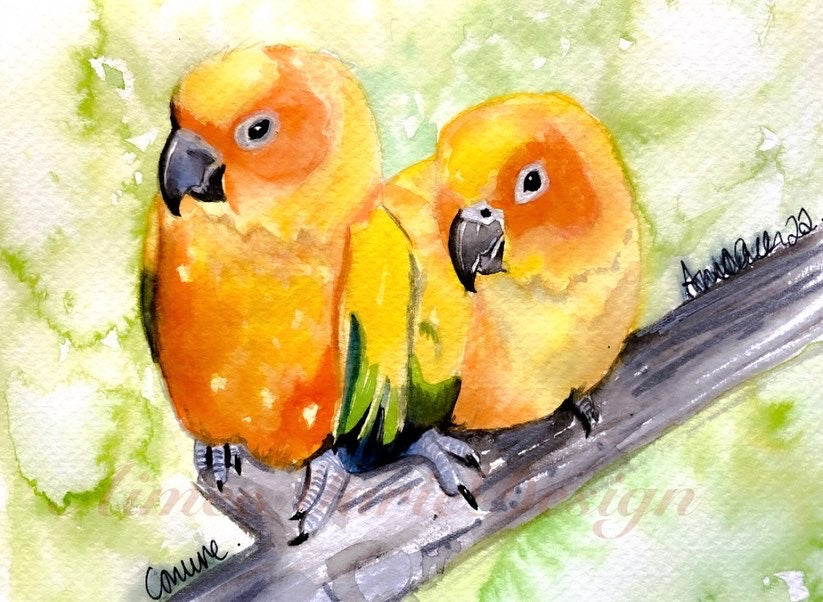 Original watercolour painting - Conures.