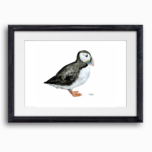 Puffin original watercolour painting (unframed).