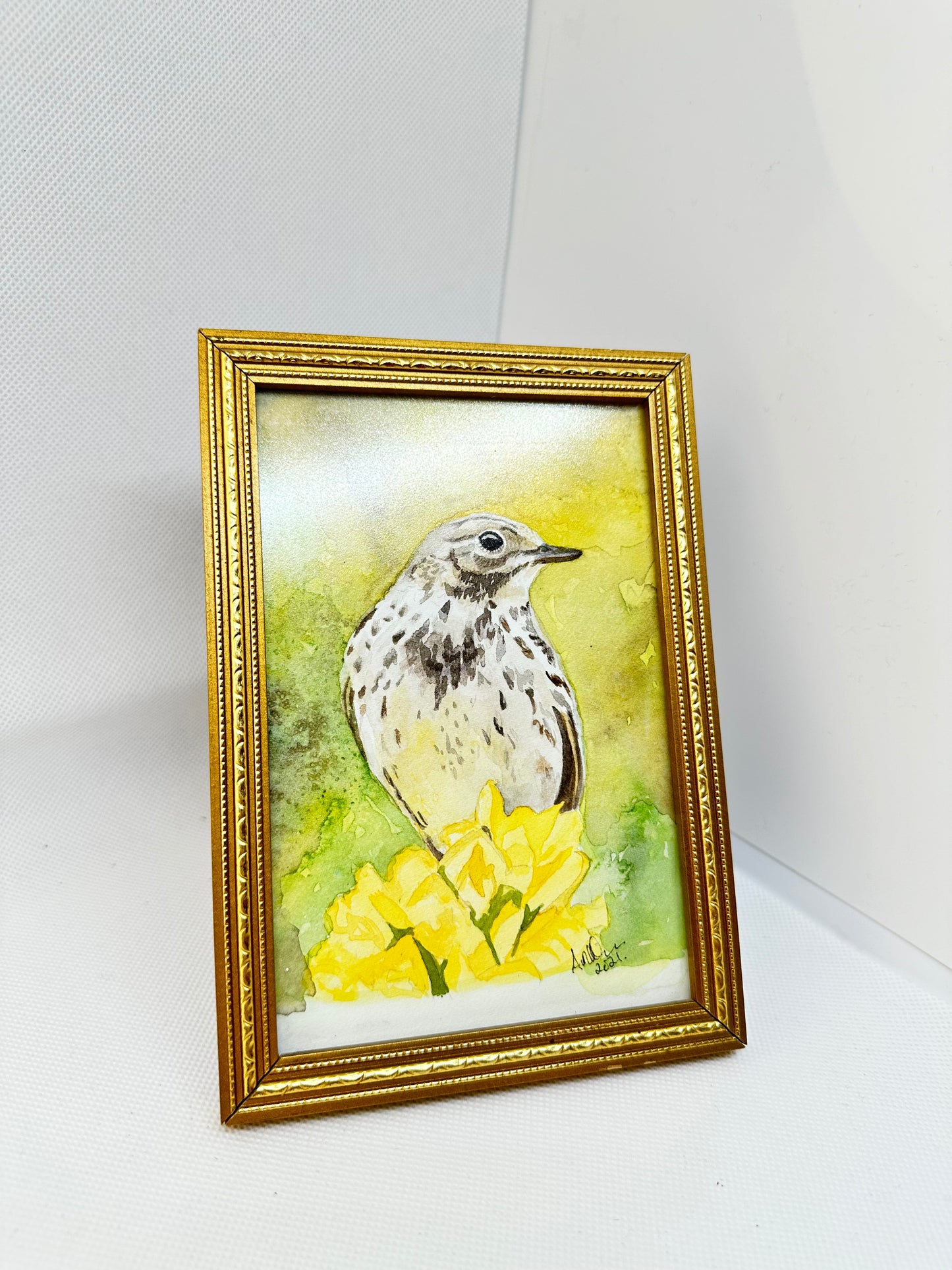 Meadow pipit original watercolour bird art.