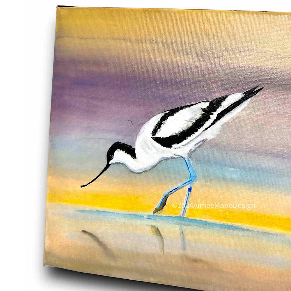 Avocet. Original bird art, acrylic on canvas.
