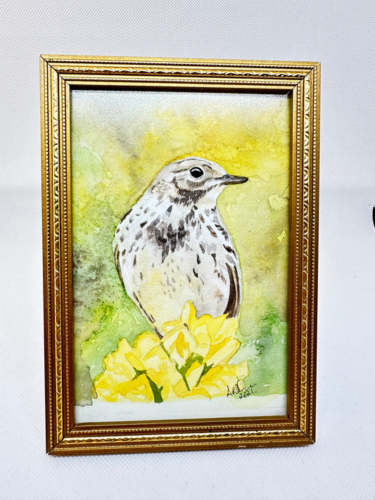 Meadow pipit original watercolour bird art.