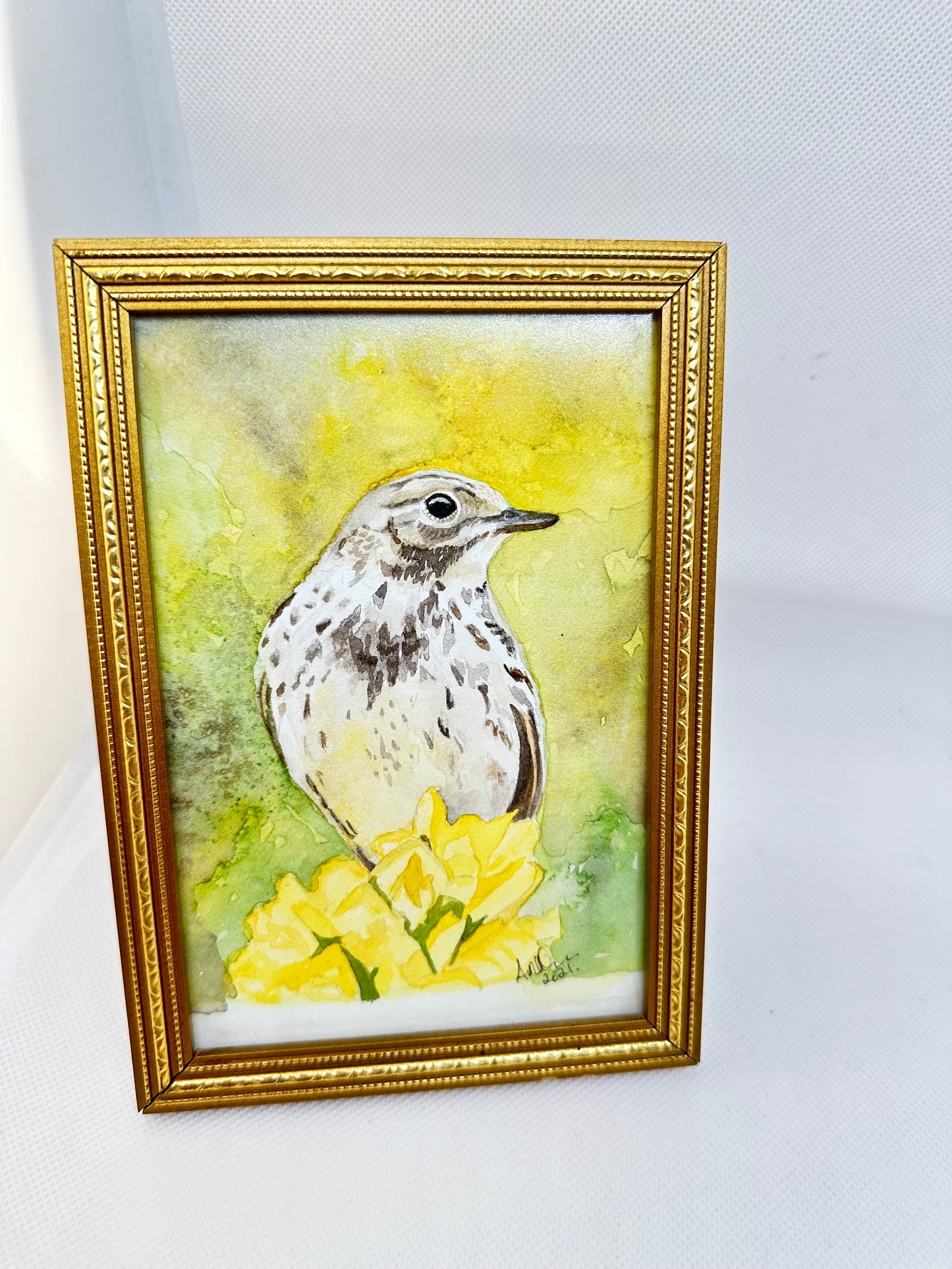 Meadow pipit original watercolour bird art.