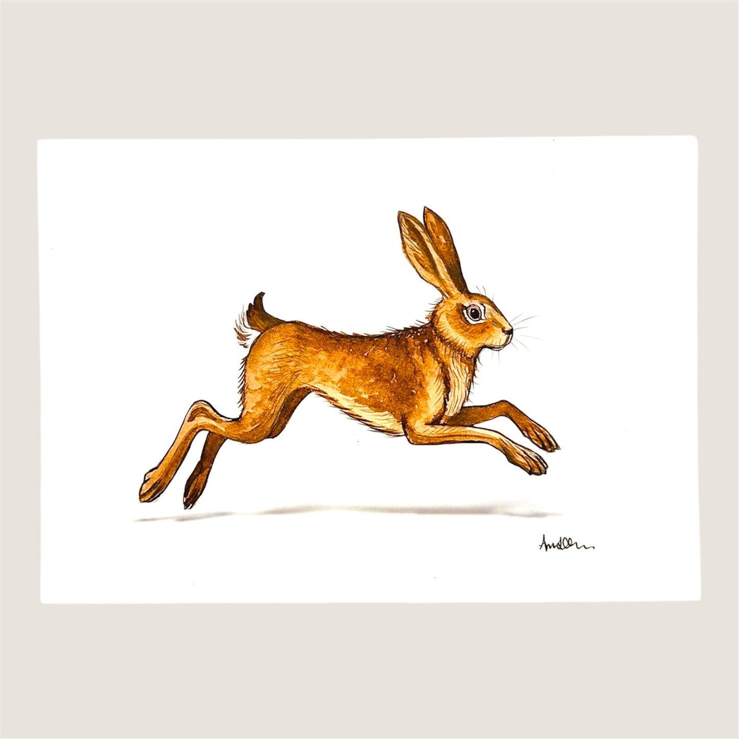 Hare illustration print - wall art decor.