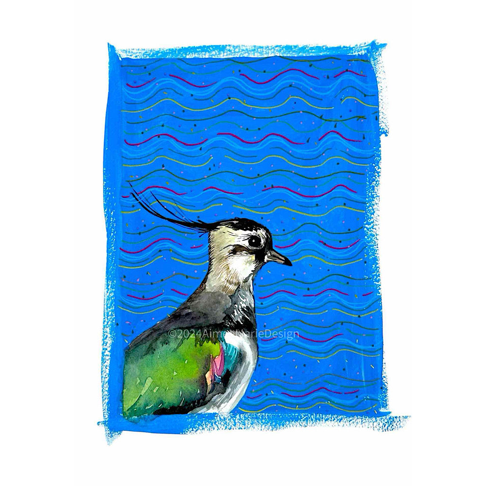 Lapwing original art painting (gouache).