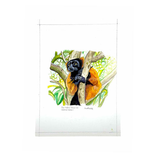 Red-ruffed lemur original artwork.