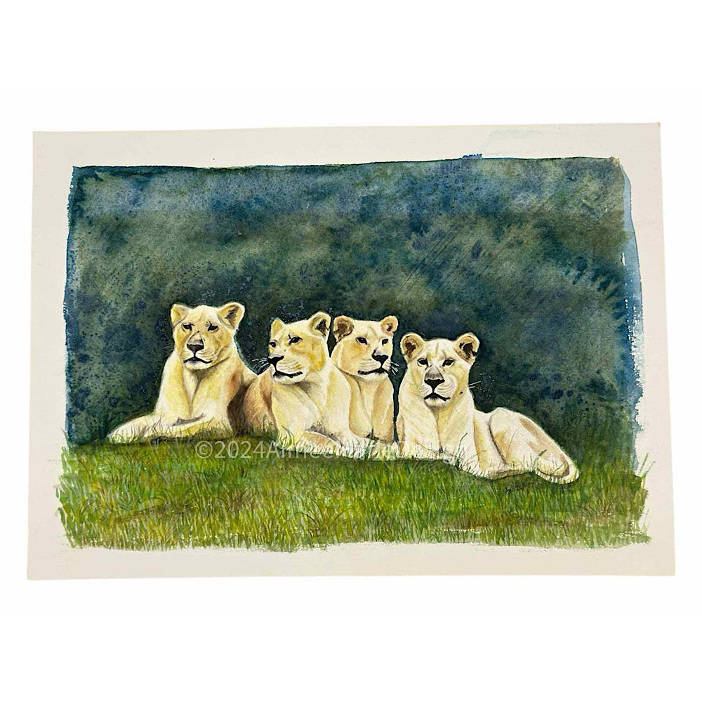 “The girls”, lionesses original wildlife painting.