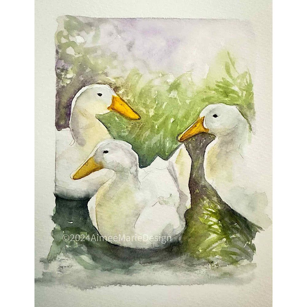 White ducks-original watercolour painting.