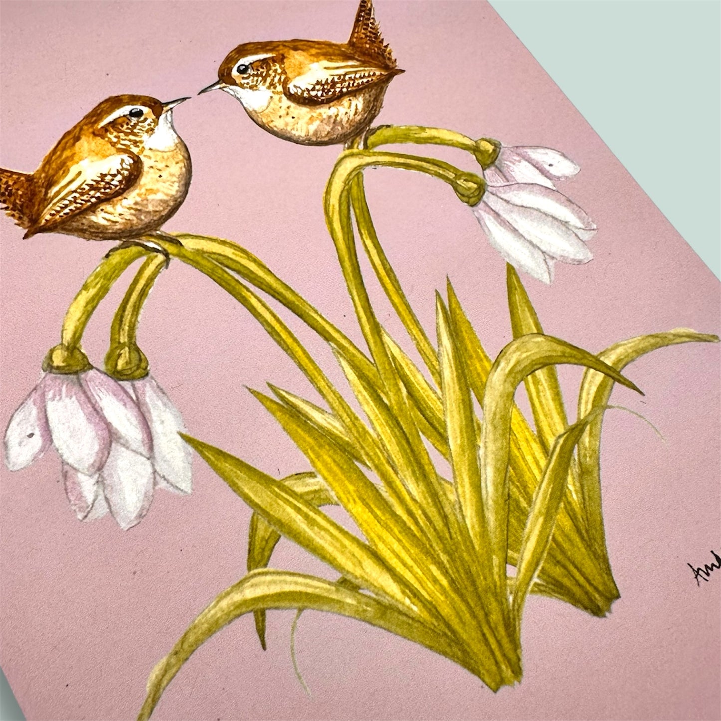 British wildlife wall art print - wrens and snowdrops.