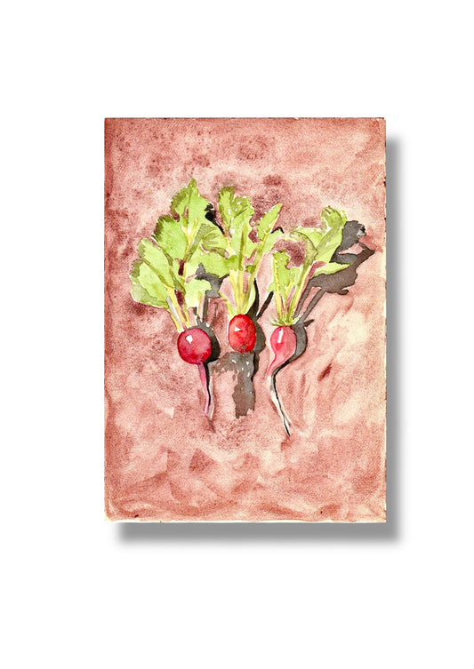 “Radishes” original watercolour art.