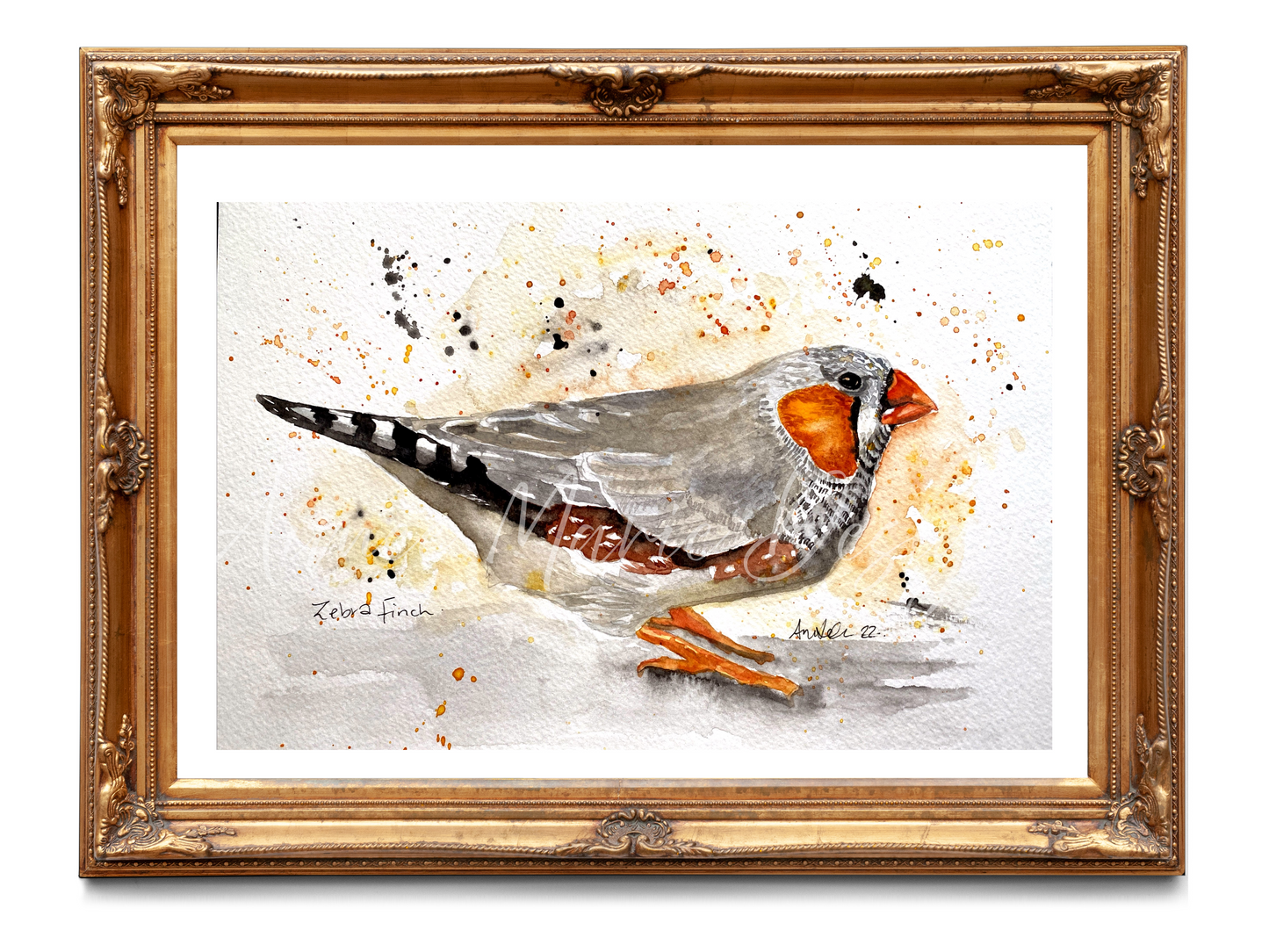 Zebra finch original watercolour painting.