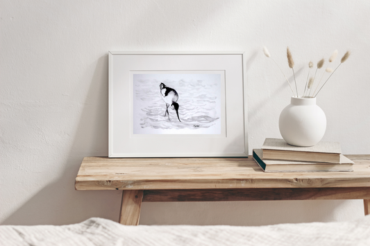 British wildlife avocet art print.