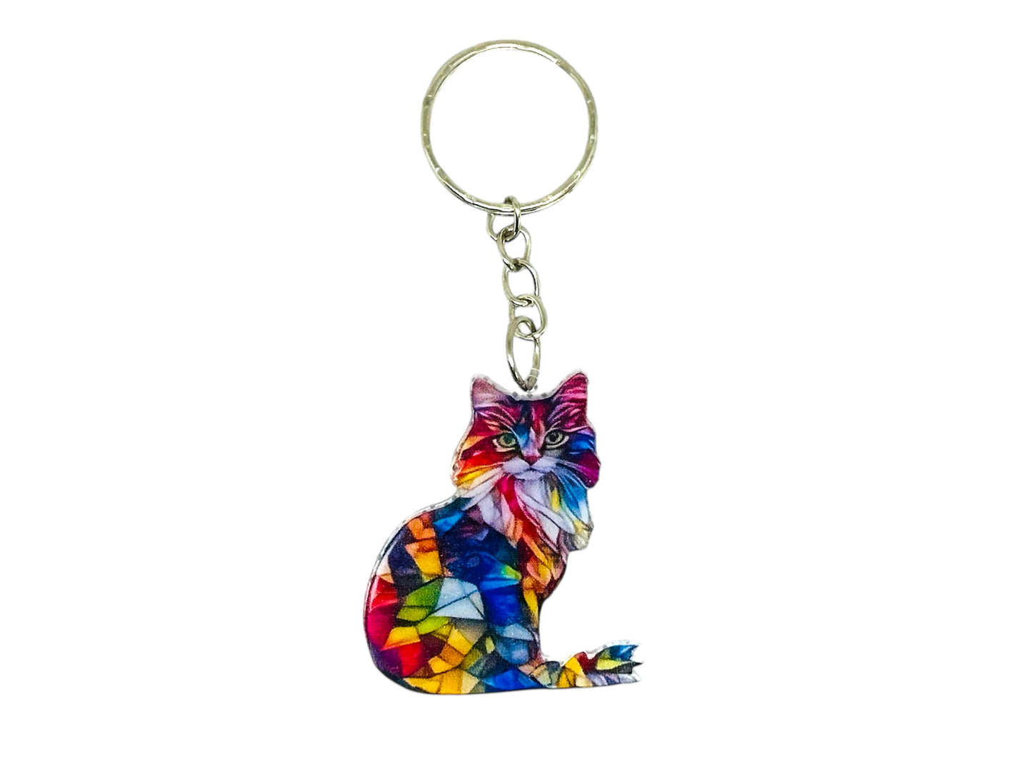 Colourful cat keyring.