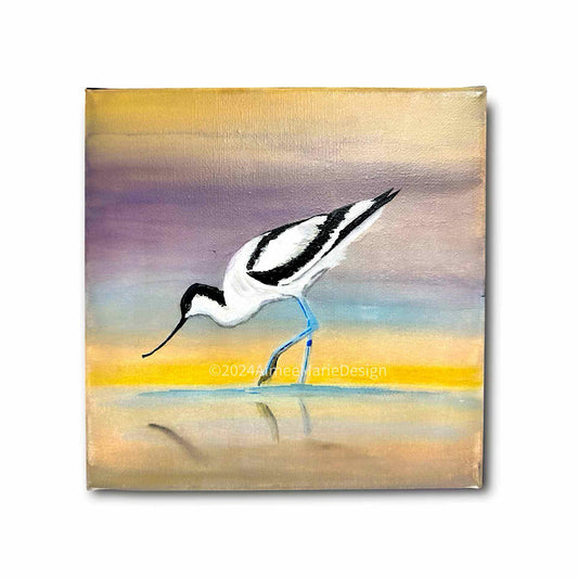 Avocet. Original bird art, acrylic on canvas.