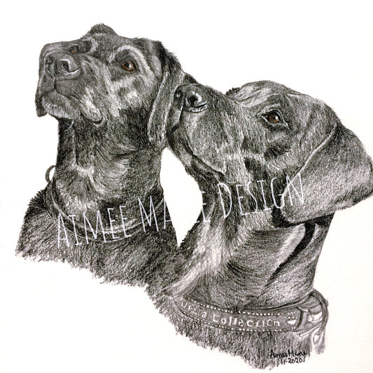 Pet/animal portrait commissions- GRAPHITE- 2 subjects.