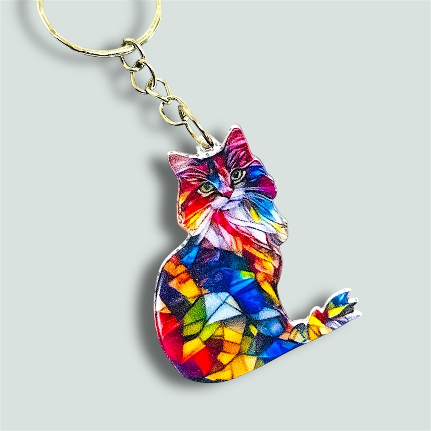 Colourful cat keyring.