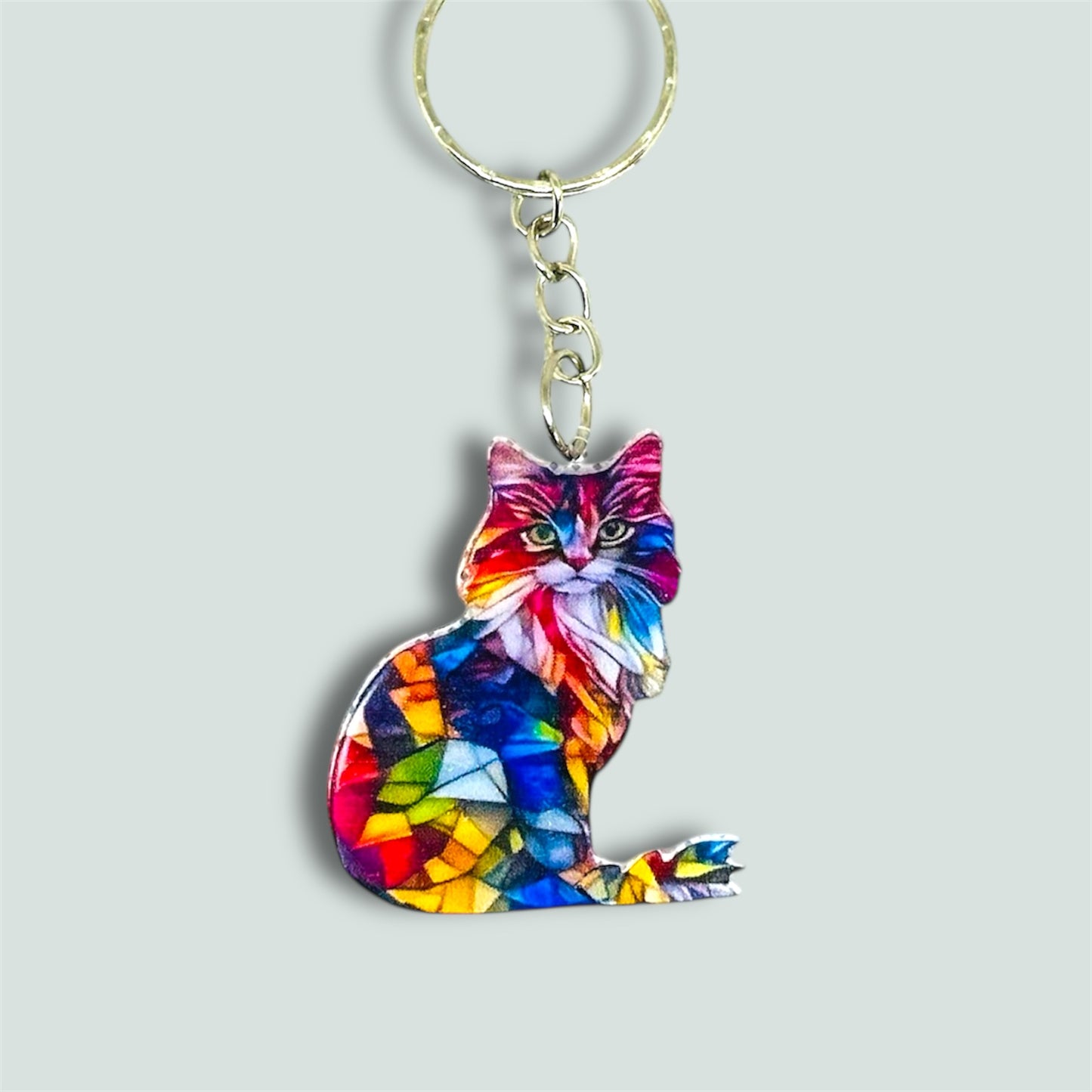 Colourful cat keyring.