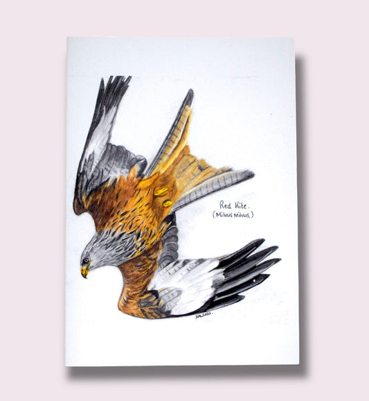Red kite greeting card.