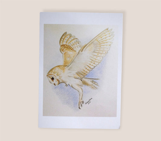 British wildlife Barn owl art print.