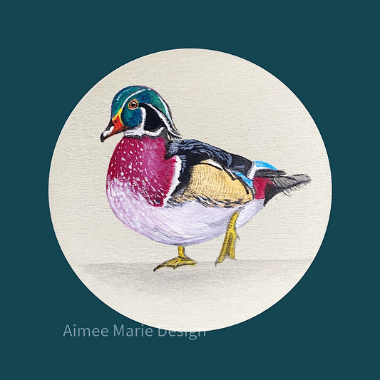 Wood duck hand painted art.