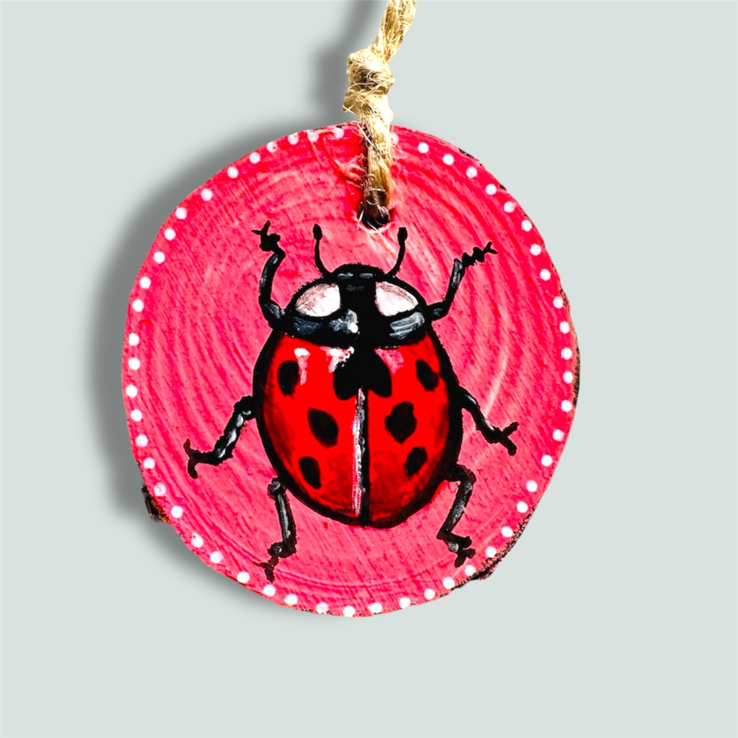 Handmade ladybird wood slice art.