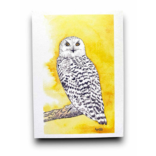 Snowy owl wall art print.